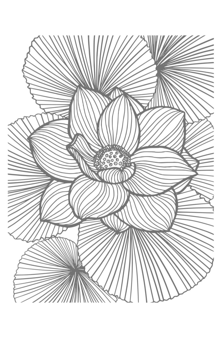 PRINT COPY journal for b-tches (digest size - 5.5 x 8.5 inches)