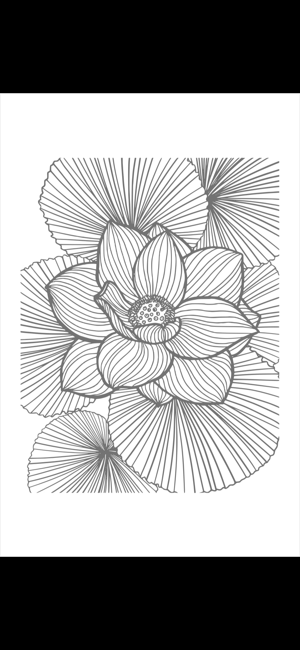 E-BOOK journal for b-tches (PDF, digest size - 5.5 x 8.5 inches)