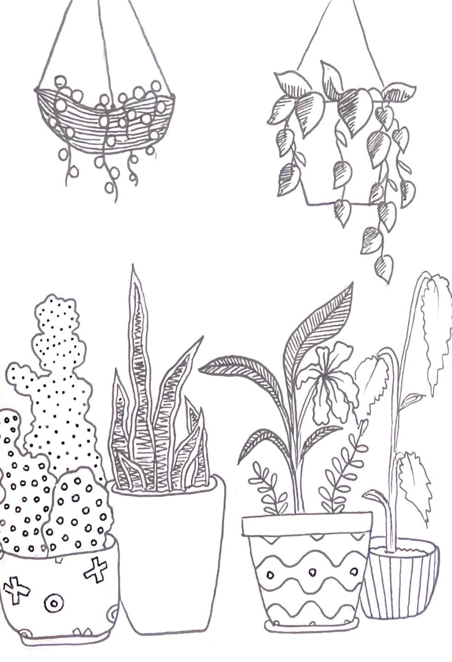 4.25x5.5 Combo Indoor Plant Fold-over Cards Stationery Set (2 cards)