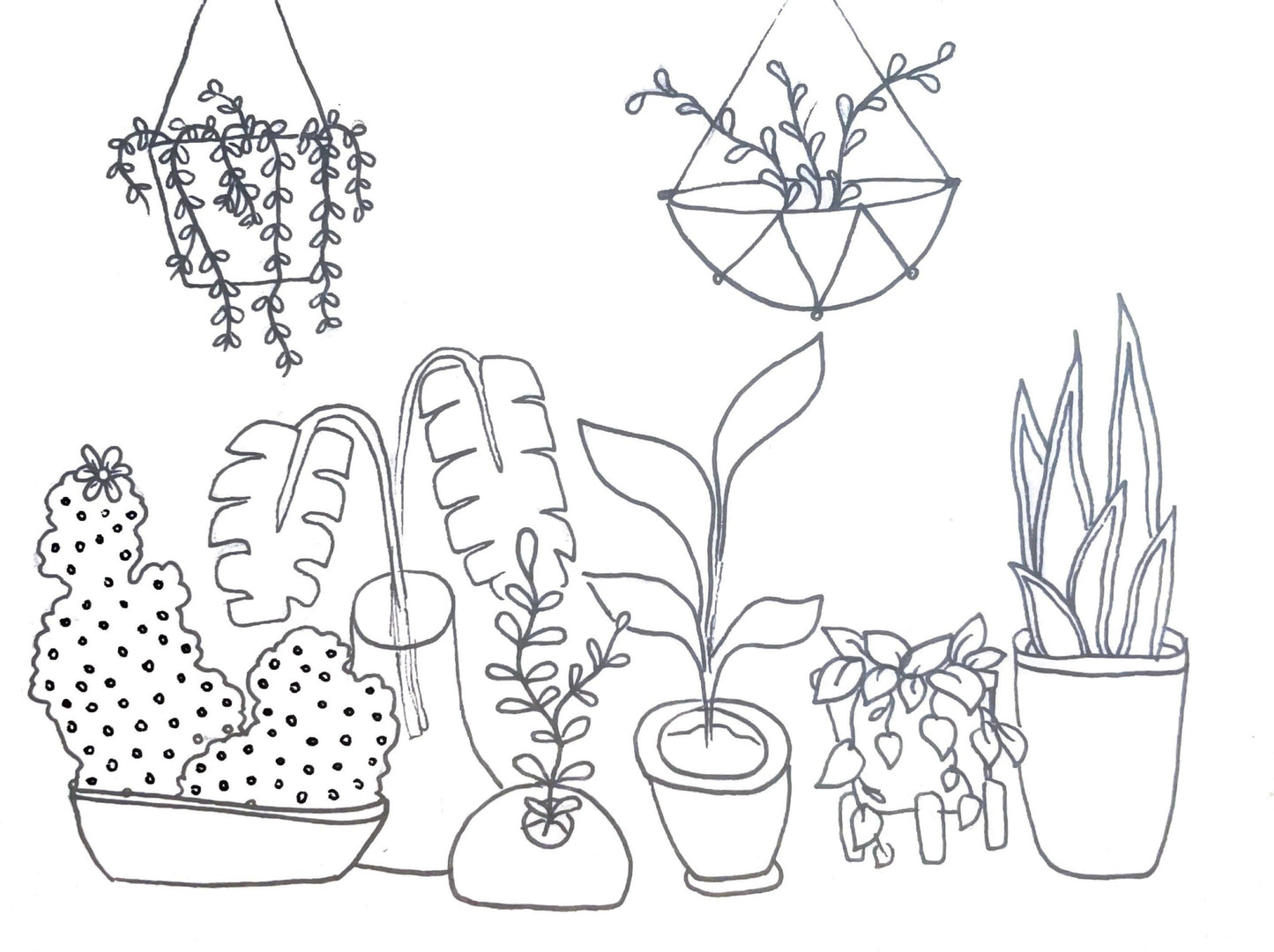 4.25x5.5 Combo Indoor Plant Fold-over Cards Stationery Set (2 cards)